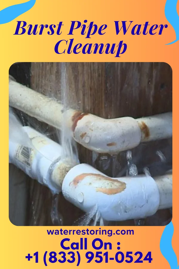 Burst Pipe Water Cleanup in Tarentum, PA