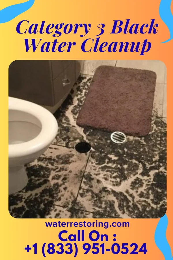 Category 3 Black Water Cleanup in Tarentum, PA