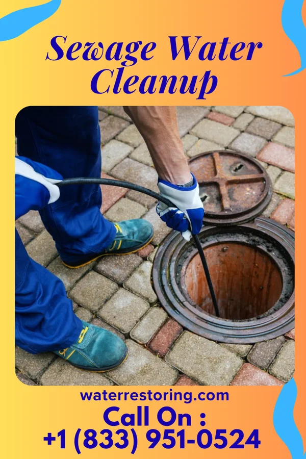 Sewage Water Cleanup in Tarentum, PA