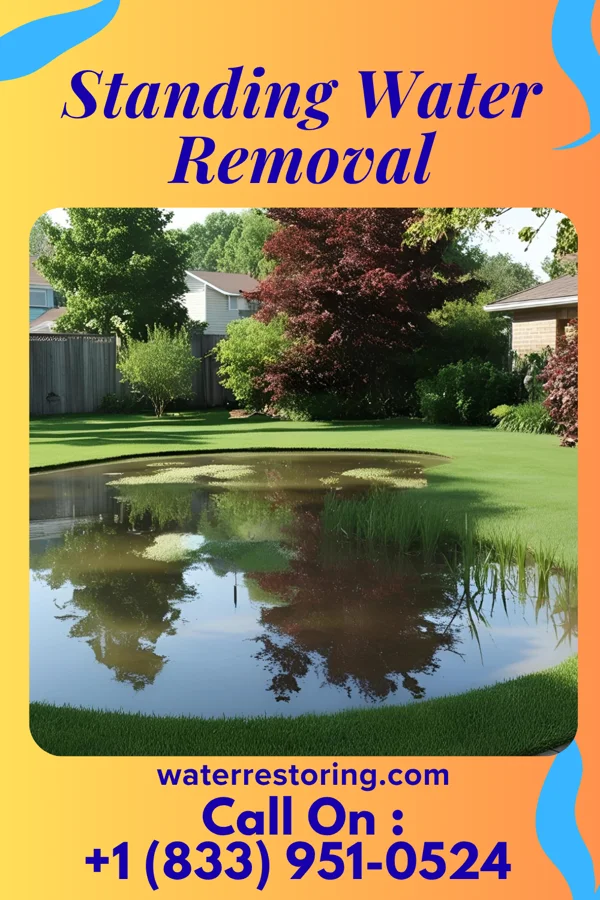 Standing Water Removal in Tarentum, PA